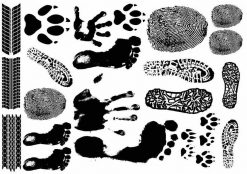 Tatueringsmotiv fotspår, tass och fingeravtryck