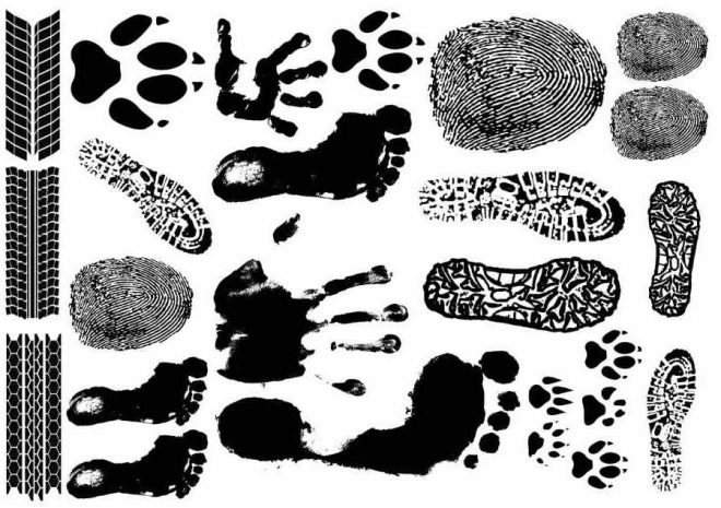 Tatoveringsmotiver fodspor, pote og fingeraftryk.