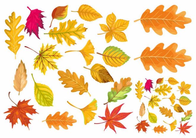 Efterårsblade i smukke farver som falsk tatovering.