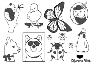 Engångstatueringar illustrerade av Anna Nathalie Gill i samarbete med oss på Like ink och Djurens Rätt. Djurens Rätt tatueringar. Fjäril, nyckelpiga, anka på skateboard och panda. Like ink gnuggisar