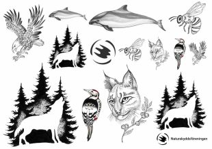 Naturskyddsföreningen tatoveringer med motiver af ulv, marsvin og los.